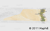 Satellite Panoramic Map of Al Minya (Menia), lighten, desaturated