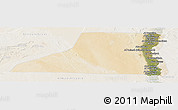 Satellite Panoramic Map of Al Minya (Menia), lighten