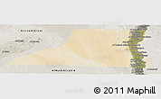 Satellite Panoramic Map of Al Minya (Menia), semi-desaturated