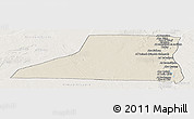 Shaded Relief Panoramic Map of Al Minya (Menia), lighten