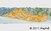 Political Shades Panoramic Map of El Salvador, semi-desaturated