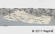 Shaded Relief Panoramic Map of El Salvador, darken, semi-desaturated