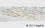 Shaded Relief Panoramic Map of El Salvador, desaturated