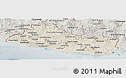 Shaded Relief Panoramic Map of El Salvador, semi-desaturated