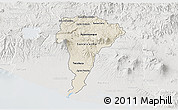 Shaded Relief 3D Map of San Vicente, lighten, semi-desaturated