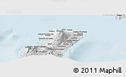 Silver Style Panoramic Map of Bioko Norte