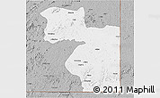 Gray 3D Map of Welenzas