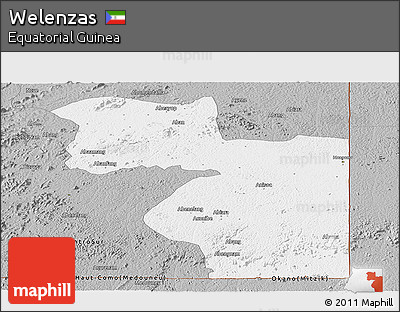 Gray Panoramic Map of Welenzas
