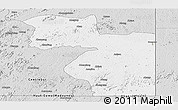 Silver Style Panoramic Map of Welenzas