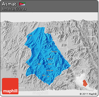 Political 3D Map of Asmat, lighten, desaturated