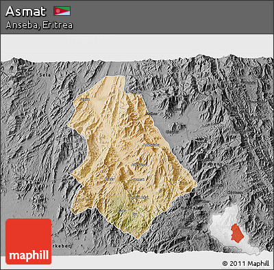 Satellite 3D Map of Asmat, darken, desaturated