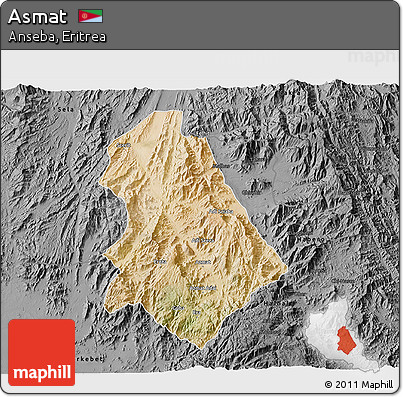 Satellite 3D Map of Asmat, darken, desaturated