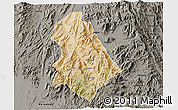 Satellite 3D Map of Asmat, darken, semi-desaturated
