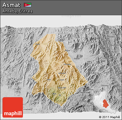 Satellite 3D Map of Asmat, desaturated
