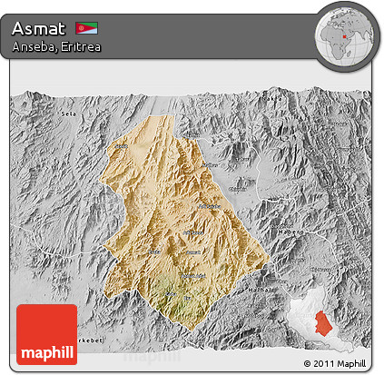 Satellite 3D Map of Asmat, desaturated