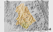 Satellite 3D Map of Asmat, desaturated