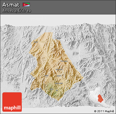Satellite 3D Map of Asmat, lighten, desaturated