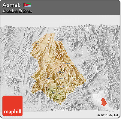 Satellite 3D Map of Asmat, lighten, desaturated