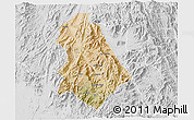 Satellite 3D Map of Asmat, lighten, desaturated