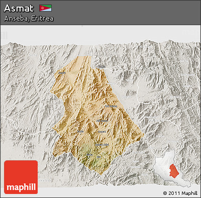 Satellite 3D Map of Asmat, lighten, semi-desaturated