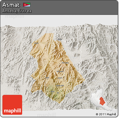 Satellite 3D Map of Asmat, lighten, semi-desaturated