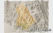 Satellite 3D Map of Asmat, semi-desaturated