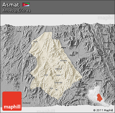 Shaded Relief 3D Map of Asmat, darken, desaturated