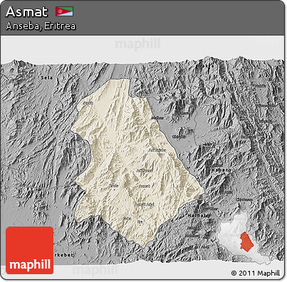 Shaded Relief 3D Map of Asmat, darken, desaturated