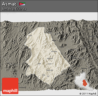 Shaded Relief 3D Map of Asmat, darken