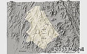 Shaded Relief 3D Map of Asmat, darken, semi-desaturated