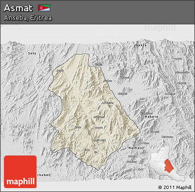 Shaded Relief 3D Map of Asmat, desaturated