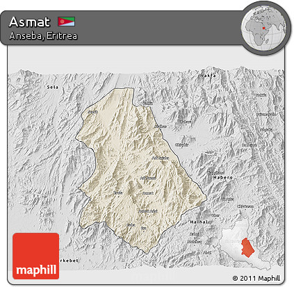 Shaded Relief 3D Map of Asmat, desaturated