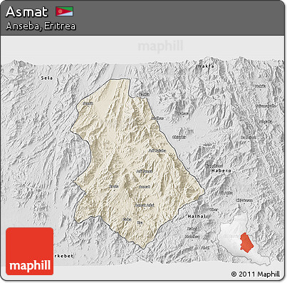 Shaded Relief 3D Map of Asmat, desaturated