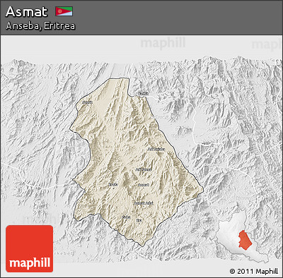 Shaded Relief 3D Map of Asmat, lighten, desaturated