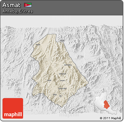Shaded Relief 3D Map of Asmat, lighten, desaturated