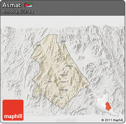 Shaded Relief 3D Map of Asmat, lighten, semi-desaturated