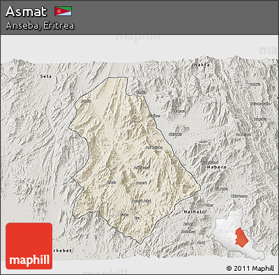 Shaded Relief 3D Map of Asmat, semi-desaturated