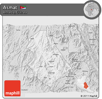 Silver Style 3D Map of Asmat