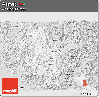 Silver Style 3D Map of Asmat