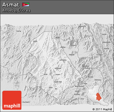 Silver Style 3D Map of Asmat