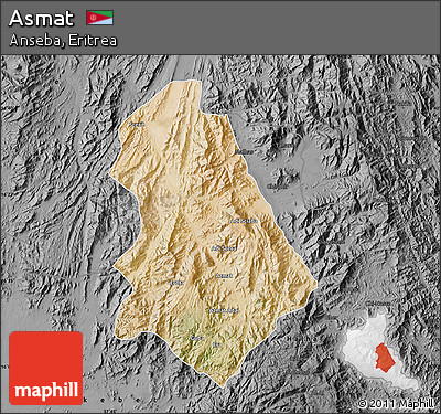 Satellite Map of Asmat, darken, desaturated