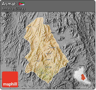 Satellite Map of Asmat, darken, desaturated