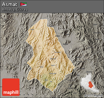 Satellite Map of Asmat, darken, semi-desaturated