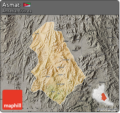 Satellite Map of Asmat, darken, semi-desaturated
