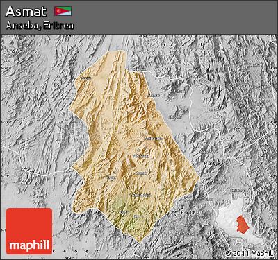 Satellite Map of Asmat, desaturated