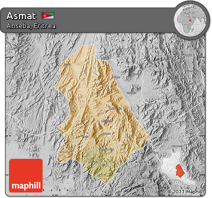 Satellite Map of Asmat, desaturated