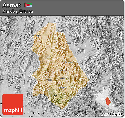 Satellite Map of Asmat, desaturated