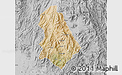 Satellite Map of Asmat, desaturated