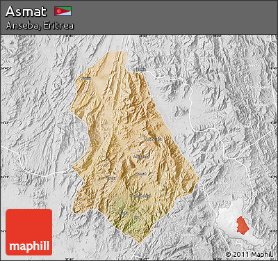 Satellite Map of Asmat, lighten, desaturated