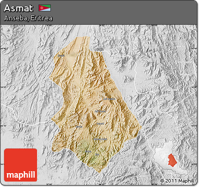 Satellite Map of Asmat, lighten, desaturated